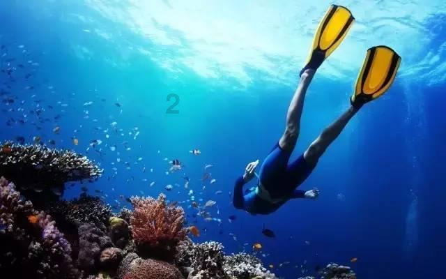 海盗寻宝记选关版